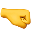 right fist